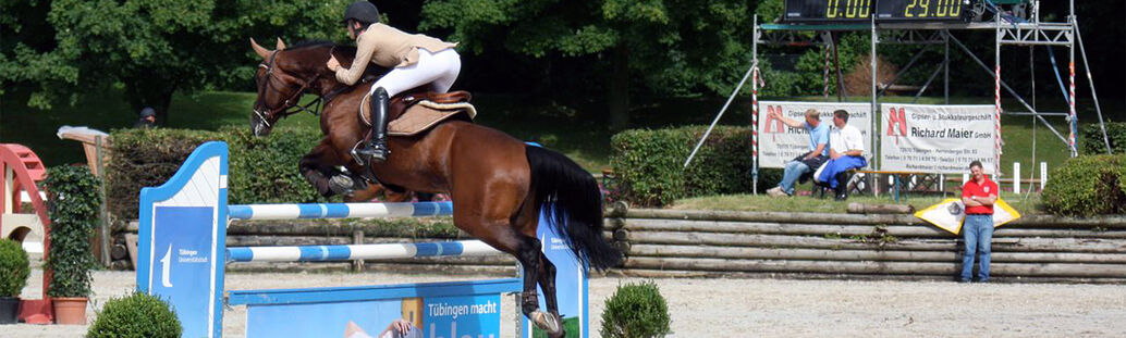 Pferd mit Reiter springt über ein Hindernis