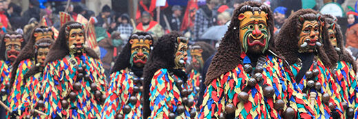 Die Narren kommen! Am Sonntag, 1. Februar 2015, ist Fasnetumzug in Tübingen.