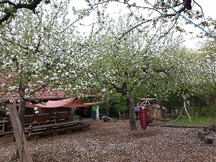 Waldkindergarten Hobbits