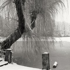 Winter-Anlagenpark. Bild: Alexander Gonschior