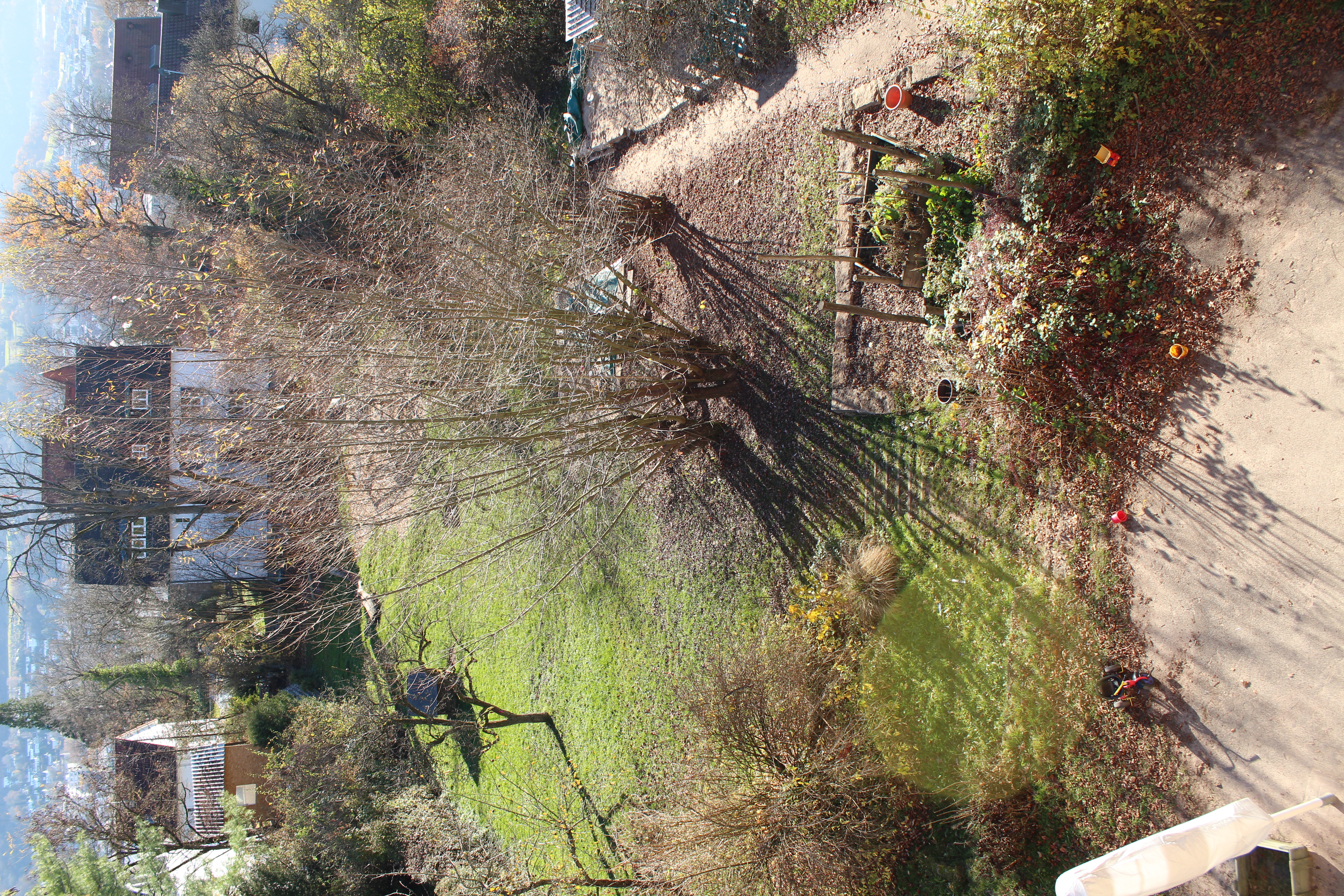 Blick von oben auf den Gartenbereich