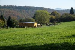 Naturkindergarten Waldschafe