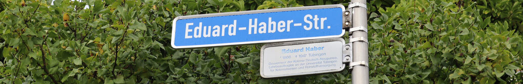 blaues Straßenschild mit weißer Aufschrift 