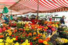 Frühlingsmarkt in Tübingen