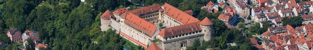 Hölderlinturm, Luftaufnahme