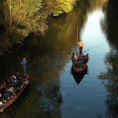 Stocherkähne auf dem Neckar. Bild: Martin Schreier