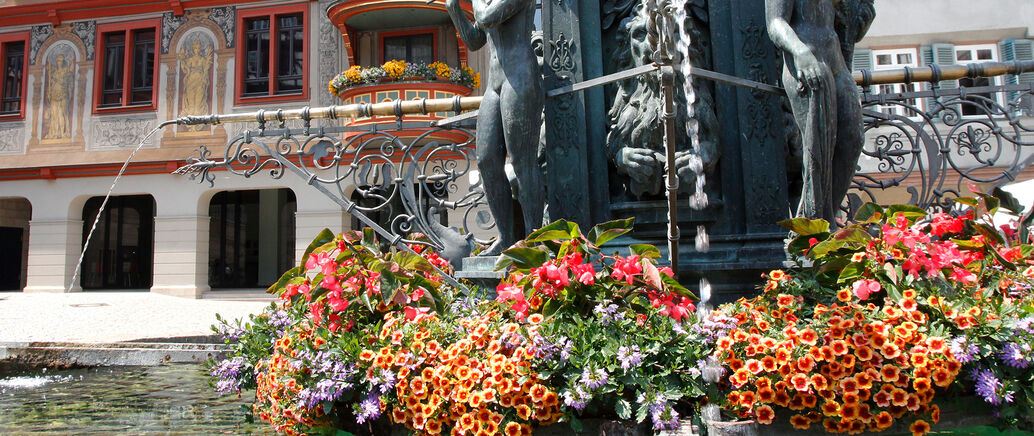 Auf dem Bild sind die Blumenkästen am Rathausbrunnen und am Rathausbalkon zu sehen.