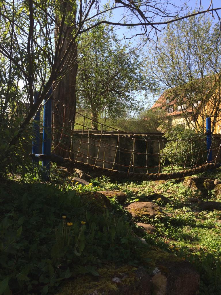 Hängebrücke im Gartenbereich