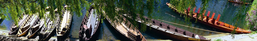 Stocherkähne auf dem Neckar 