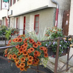 Der konventionelle Blumenschmuck entlang der Ammer in der Ammergasse. Bild: Universitätsstadt Tübingen