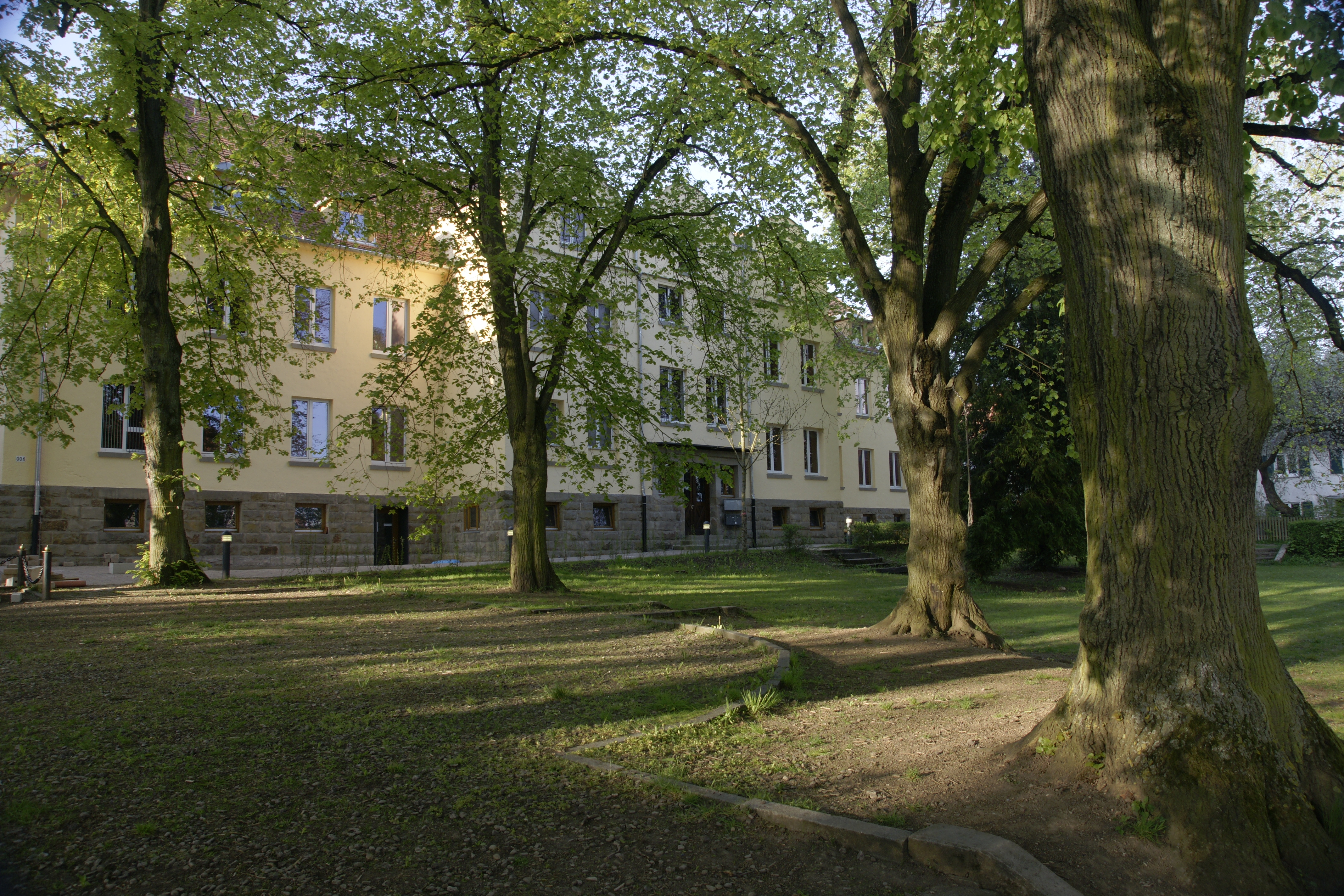 Es ist ein Park mit Bäumen und die Rückseite der Kindervilla abgebildet.