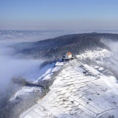 Wurmlinger Kapelle. Bild: Nils Dittbrenner