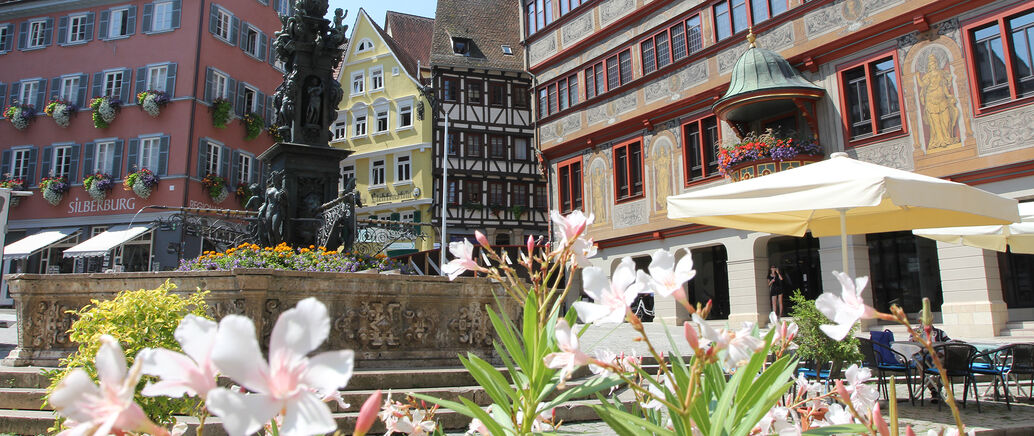 Blick aufs Rathaus im Sommer