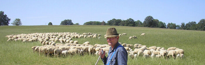 Herd of sheep on the Swabian Alb. Picture: Otto Buchegger