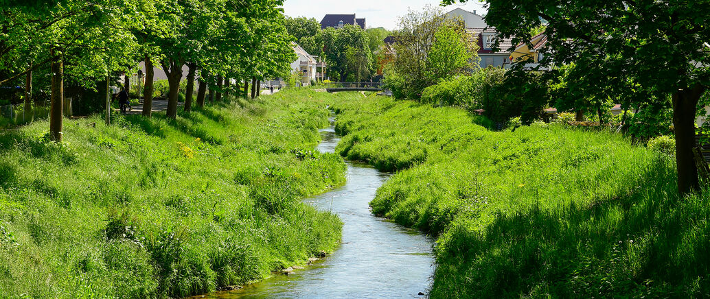 die Ammer in Tübingen