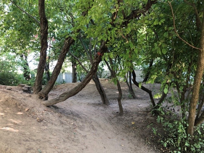 Hier ist ein Teil des Garten des Kinderhaus Horemer zu sehen. Es sind kleine Trampelwege zwischen Bäumen zu erkennen.