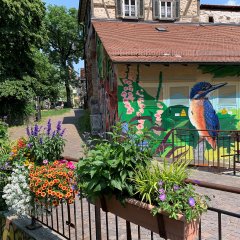 Der konventionelle Blumenschmuck zusammen mit insektenfreundlichen, heimischen Pflanzen am Haagtorplatz. Bild: Universitätsstadt Tübingen