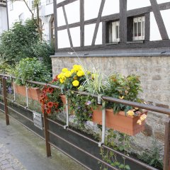 Der konventionelle Blumenschmuck am Nonnenhaus. Bild: Universitätsstadt Tübingen