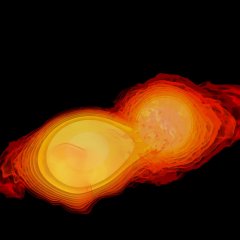 Visualisierung des Verschmelzens zweier Neutronensterne. Dieser Vorgang erzeugt einen starken Gravitationswellenimpuls. Bild: AEI