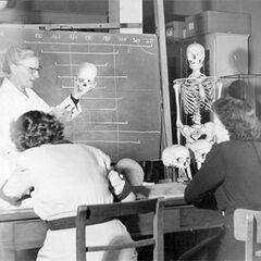 Sophie Ehrhardt (1902-1990), pictured here teaching in 1951