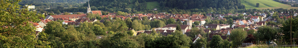 Blick über Lustnau und Österberg