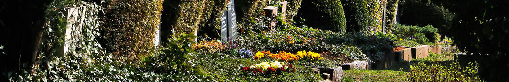 Stadtfriedhof in Tübingen