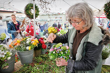 Karin Mayerlen, Blumen und Pflanzen