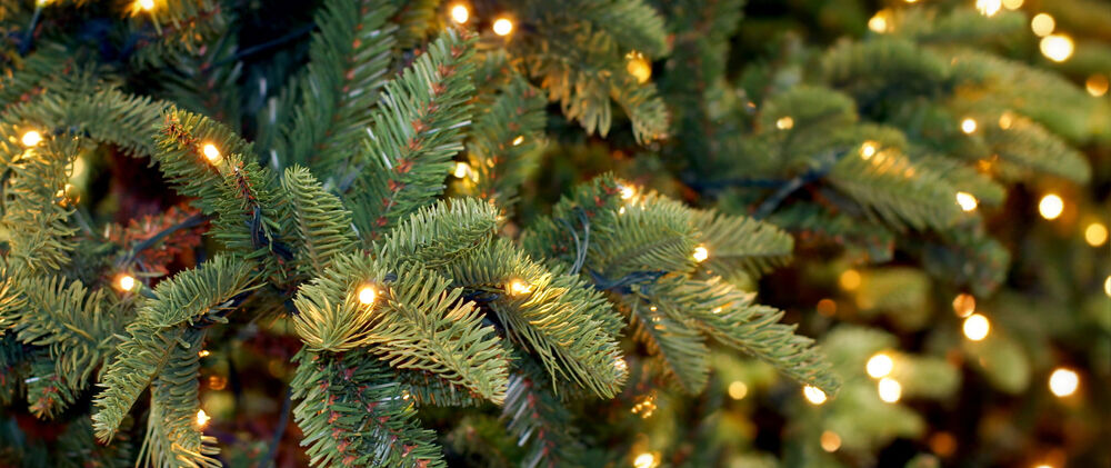 Weihnachtsbaum