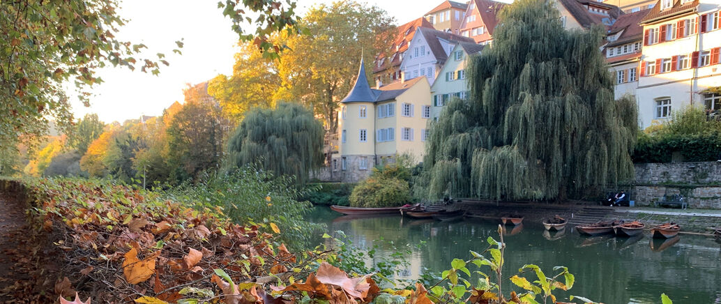 Herbst am Neckar