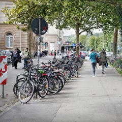 Weg zum Bahnhof. Bild: Anne Faden