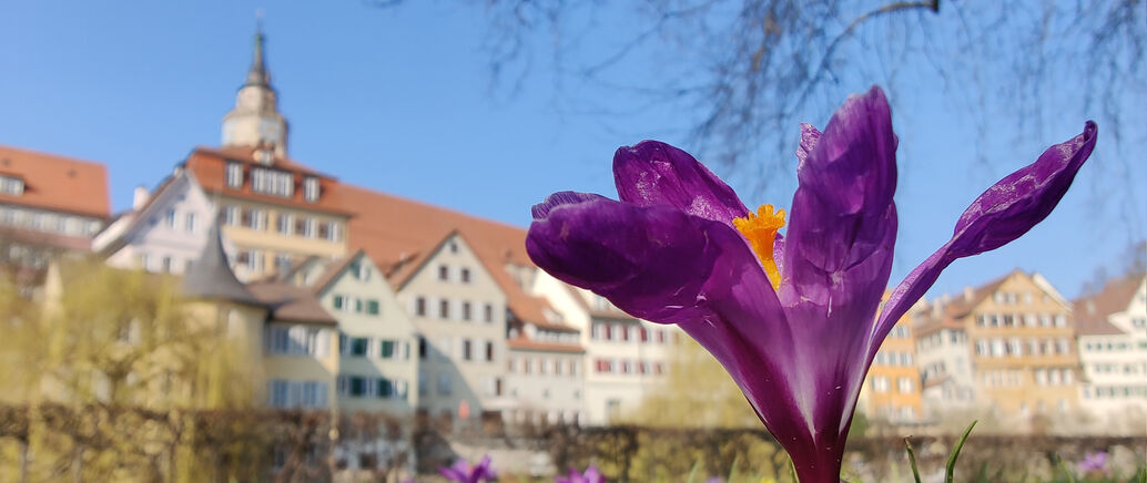 Frühlingsanfang naht