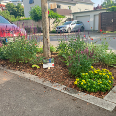 Bild: Universitätsstadt Tübingen