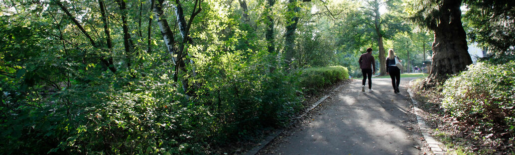 Zwei Menschen laufen auf einem Weg, der durch einen Park führt.