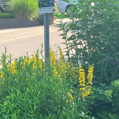 Bild: Universitätsstadt Tübingen
