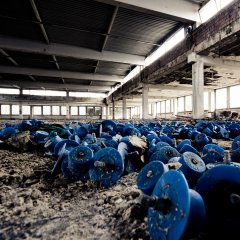 In der ehemaligen Frottierweberei Egeria vor der Sanierung. Bild: Michael Berger