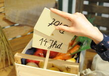 Mitmachstation an einem Marktstand