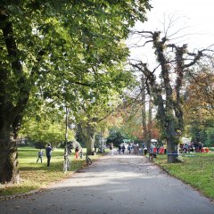 Der alte Anlagenpark. Bild: Anne Faden