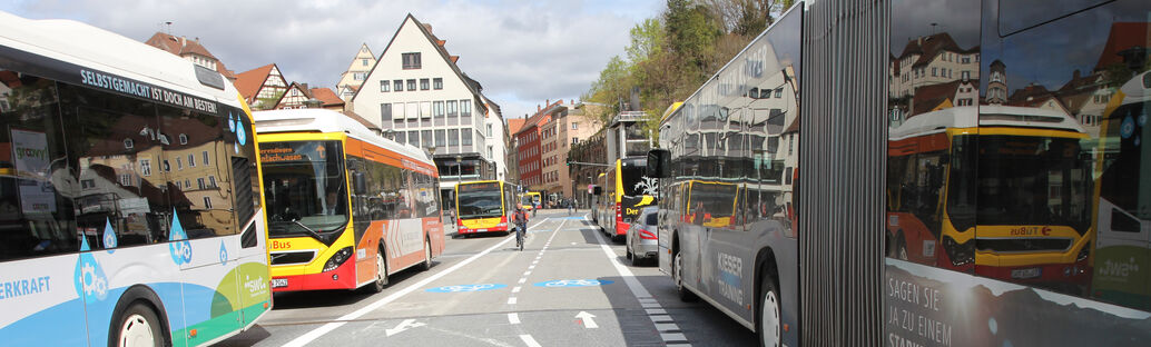 In der Mitte verl&auml;uft ein Radweg, rechts und links sind Busse zu sehen