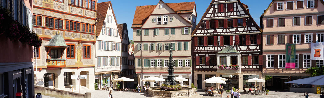 Marktplatz T&uuml;bingen