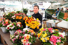 G&auml;rtnerei Sinner, Blumen und Pflanzen