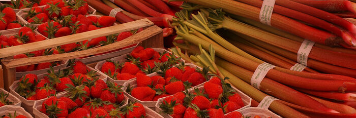 Spezialit&auml;ten auf dem Regionalmarkt in T&uuml;bingen