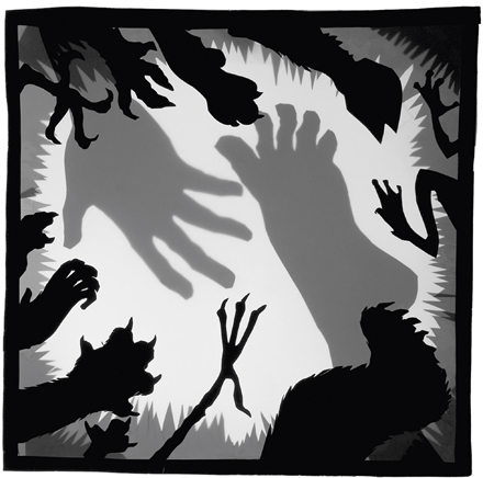 Postkarte Pfoten, Krallen, Hand und Fu&szlig;