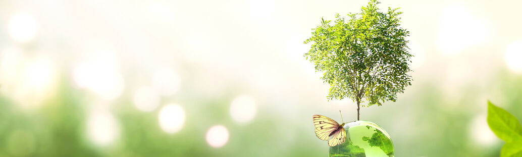 Weltkugel, aus der ein Baum w&auml;chst