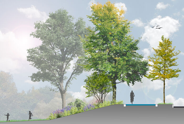 Bild Vegetation Parkrand S&uuml;d 