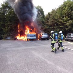 Busbrand. Bild: Universit&auml;tsstadt T&uuml;bingen
