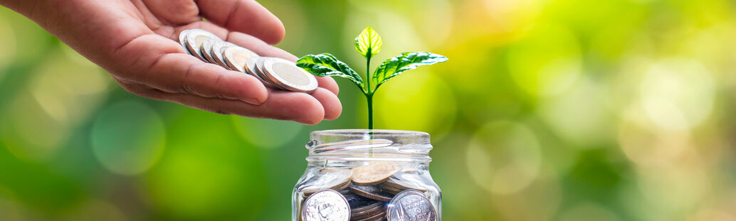 Glas mit M&uuml;nzen, aus dem eine Pflanze w&auml;chst. Eine Hand gibt weitere M&uuml;nzen hinein.