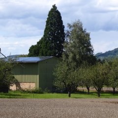 Bild f&uuml;r den September von Beate Keller