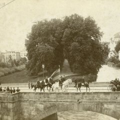 Platanenallee mit alter Neckarbr&uuml;cke im Vordergrund, darauf Reiter der Verbindung Roigel um 1888. Bild: Paul Sinner, Stadtarchiv T&uuml;bingen.