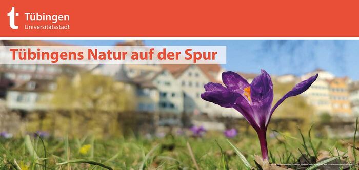 Titelseite Faltblatt Actionbound Natur