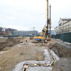 Fr&uuml;hjahr 2021. Bild: Anne Faden